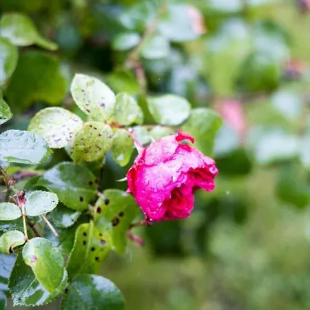 Prázdninový dům Fy379-otterup-ved-baekken-12